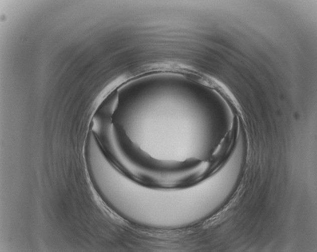 X0000084600946200703021622