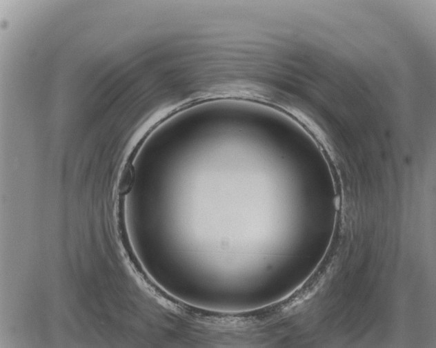 X0000084600949200703021622