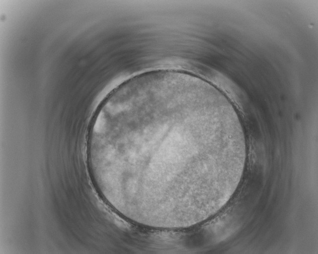 X0000084600950200703021622