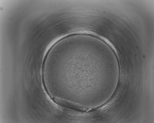 X0000084600951200703021622