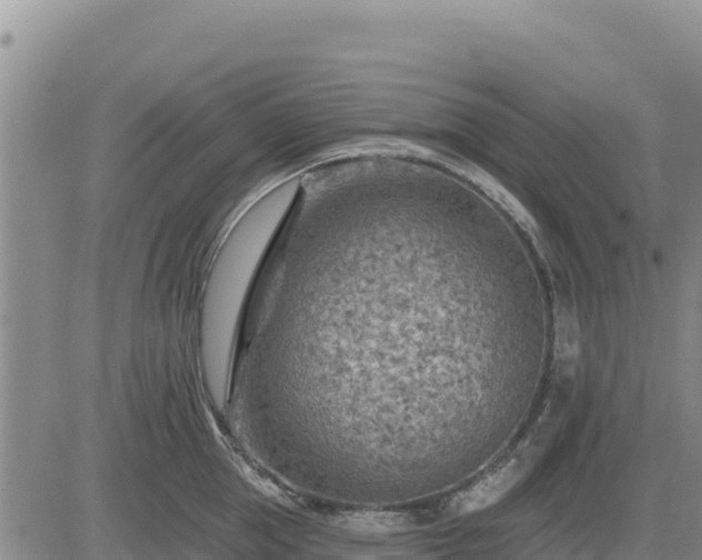 X0000084600953200703021622