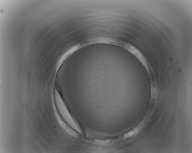 X0000084600954200703021622