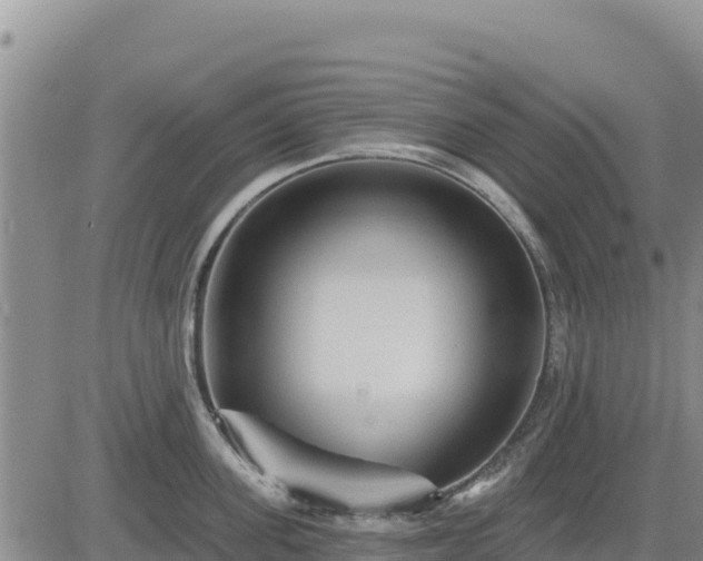 X0000084600955200703021622