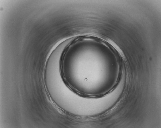 X0000084600956200703021622