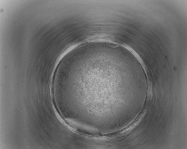 X0000084600957200703021622