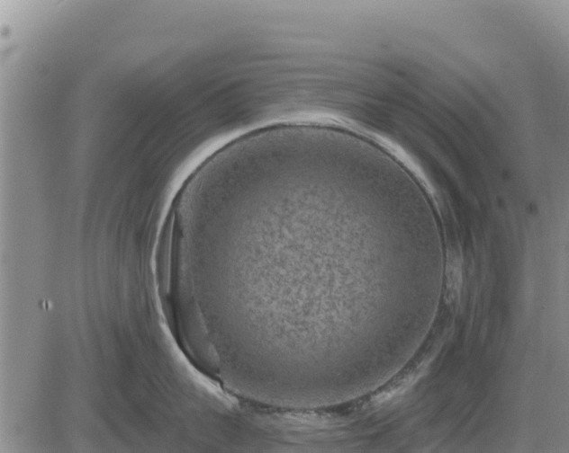 X0000084600959200703021622