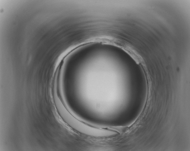 X0000084600960200703021622