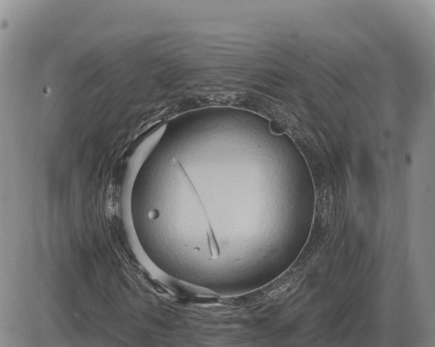 X0000084600962200703021621