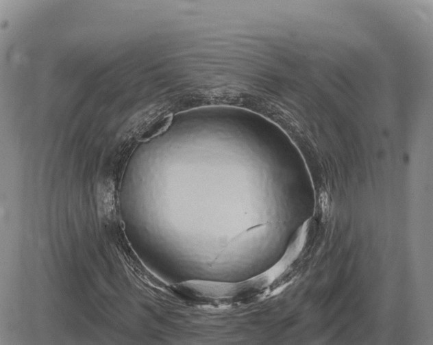 X0000084600963200703021621