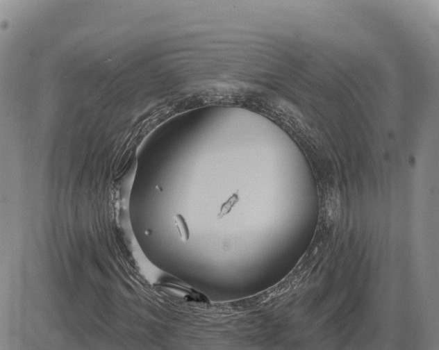 X0000084600964200703021621