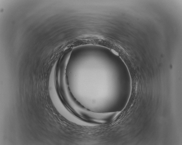 X0000084600965200703021621