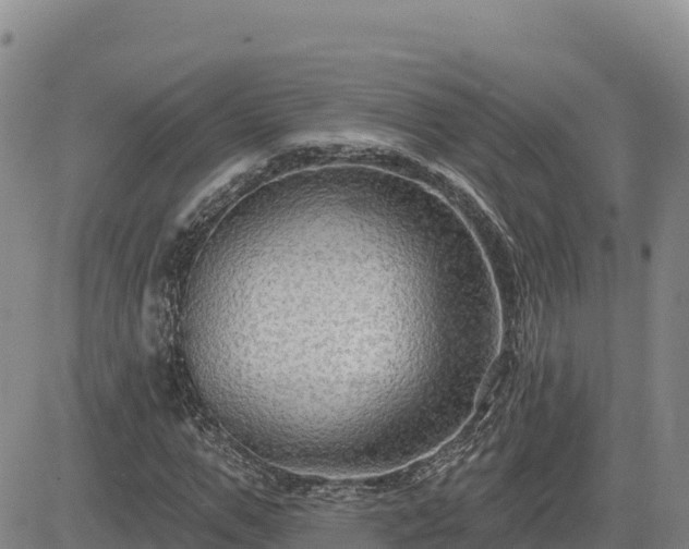 X0000084600967200703021621