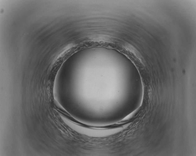 X0000084600968200703021621