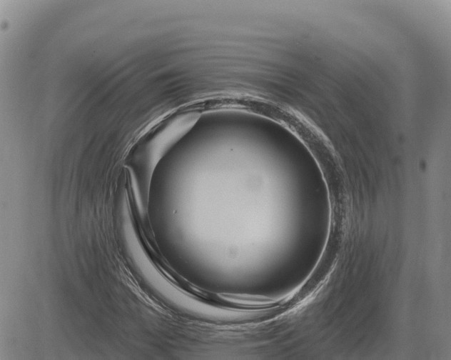 X0000084600969200703021621