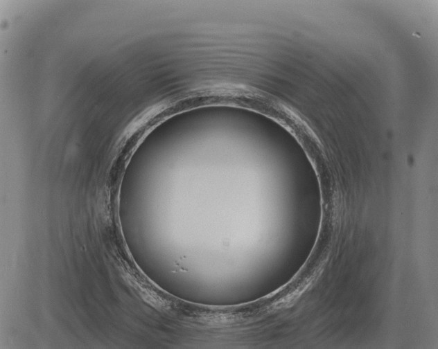 X0000084600970200703021621