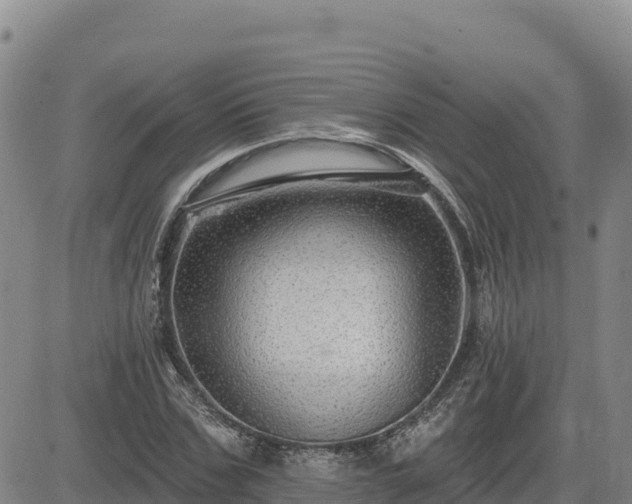 X0000084600971200703021621