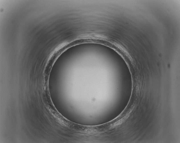 X0000084600974200703021621