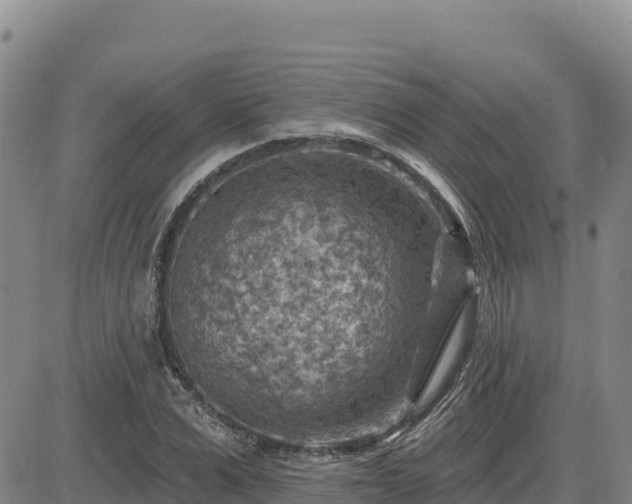 X0000084600975200703021621