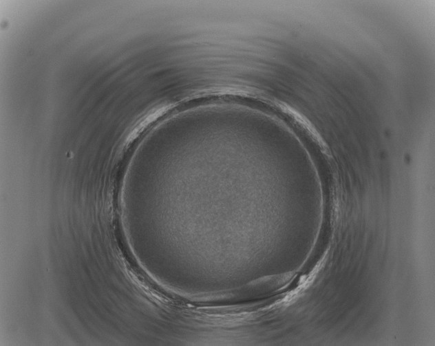 X0000084600977200703021621