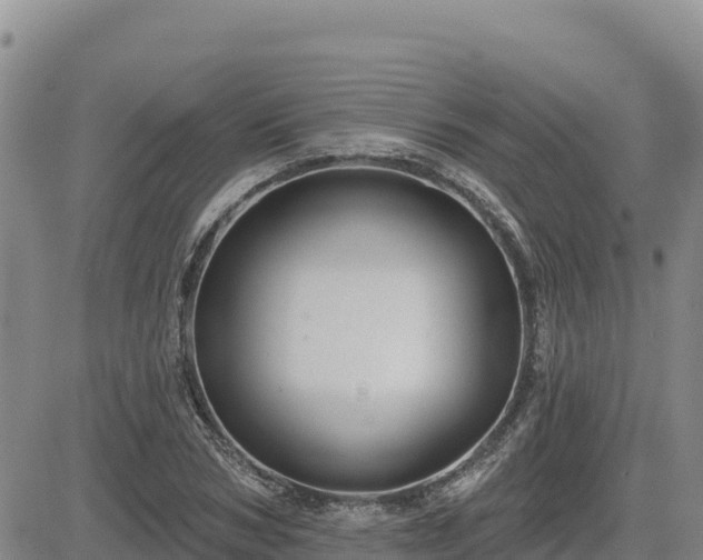 X0000084600978200703021621