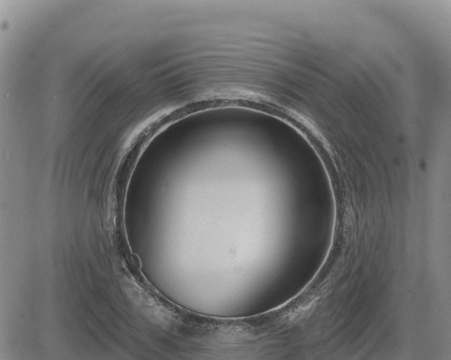 X0000084600979200703021621