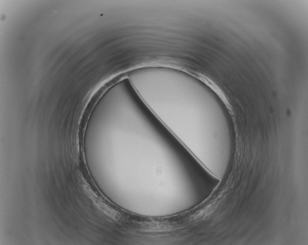 X0000084600980200703021621