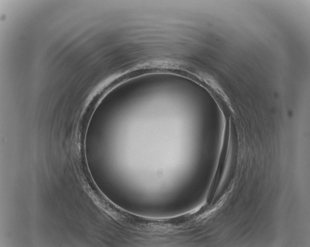 X0000084600981200703021621