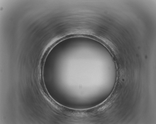 X0000084600982200703021621