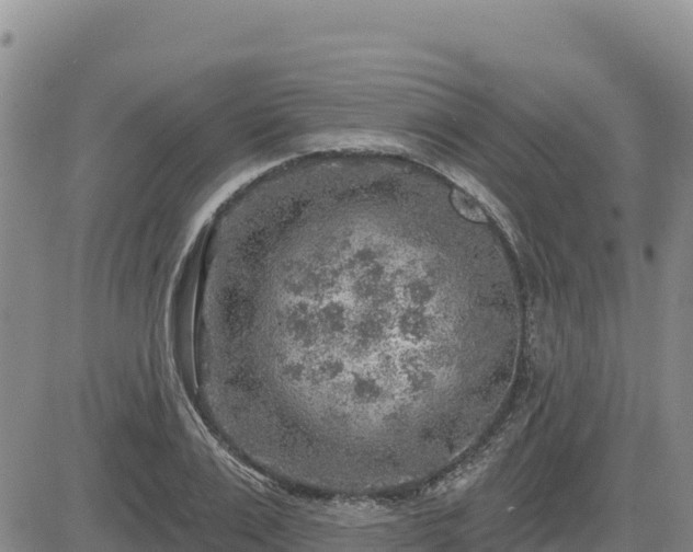 X0000084600983200703021621