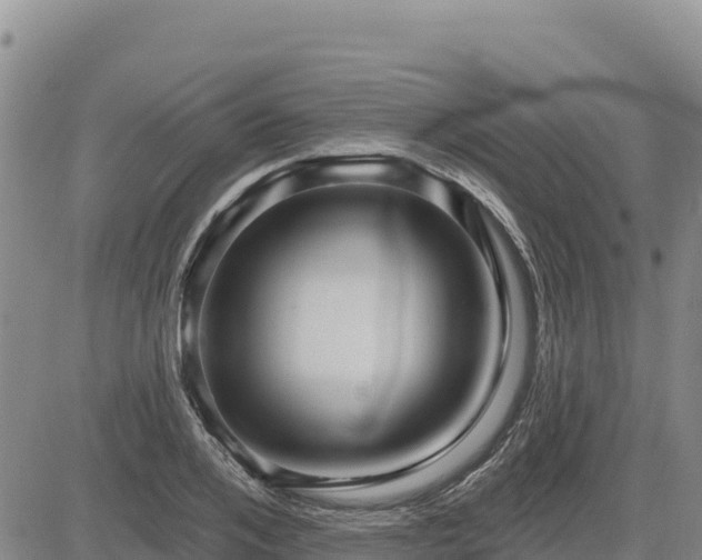 X0000084600984200703021621