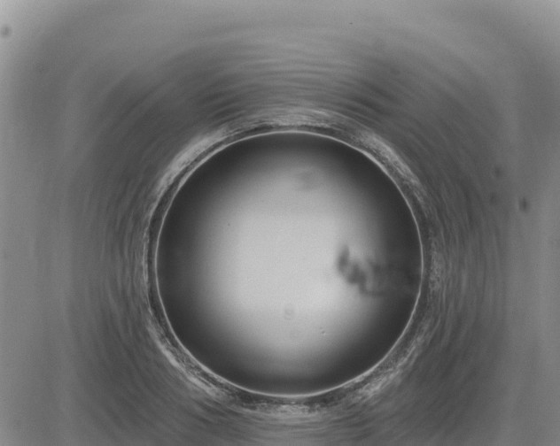 X0000084600986200703021621