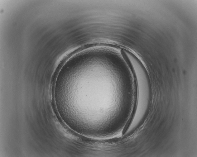 X0000084600987200703021621