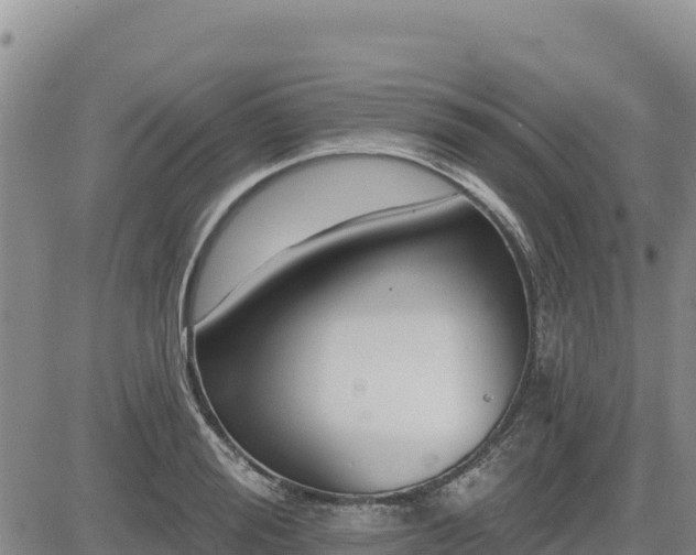 X0000084600988200703021621