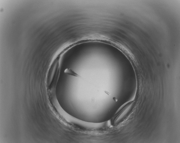 X0000084600990200703021621