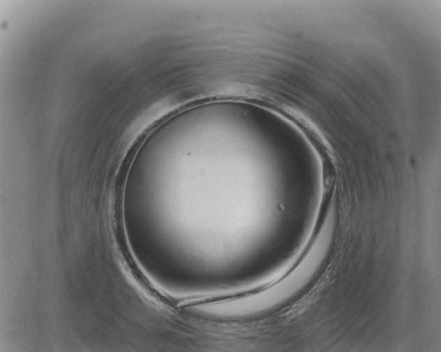 X0000084600991200703021621