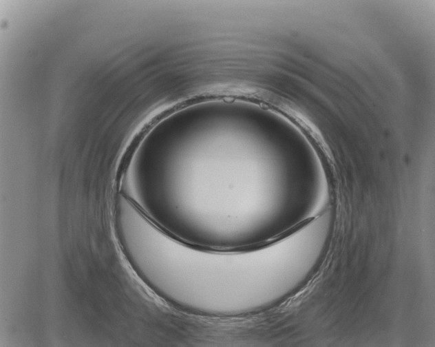 X0000084600992200703021620