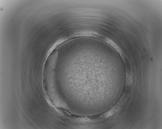 X0000084600994200703021620