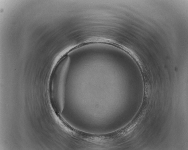 X0000084600995200703021620