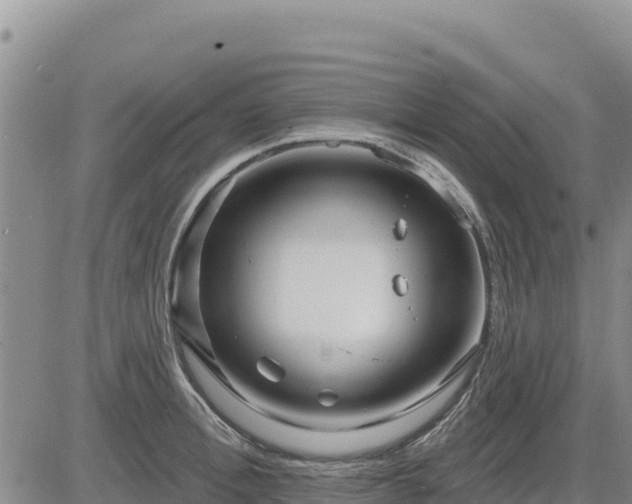 X0000084600996200703021620