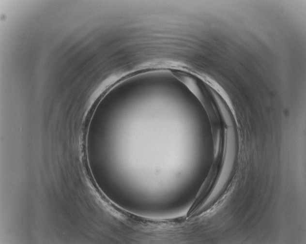 X0000084600997200703021620