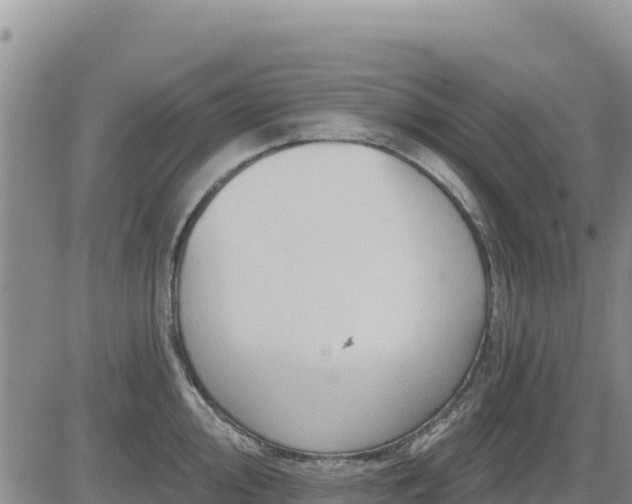 X0000084601000200703021620