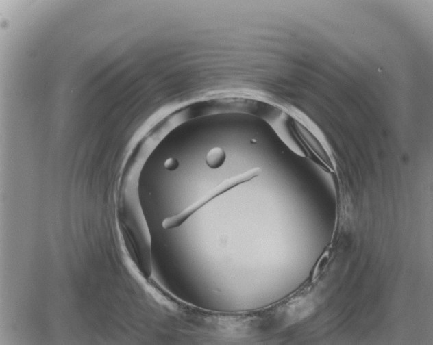 X0000084601005200703021620