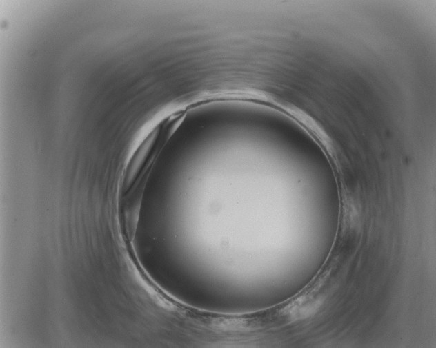 X0000084601006200703021620