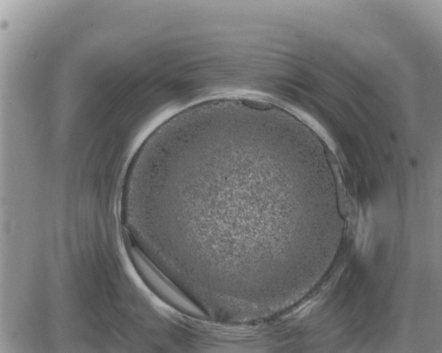 X0000084601007200703021620