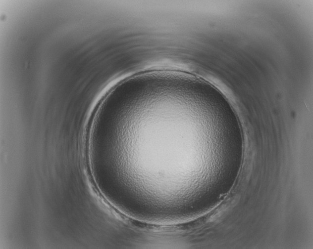 X0000084601008200703021620