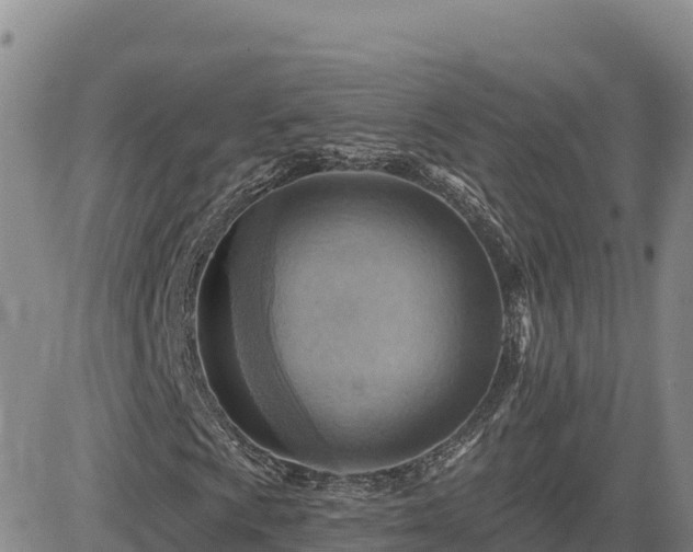 X0000084601009200703021619