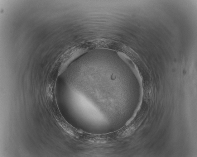 X0000084601010200703021619