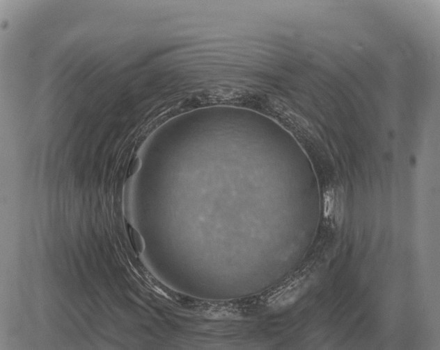 X0000084601011200703021619