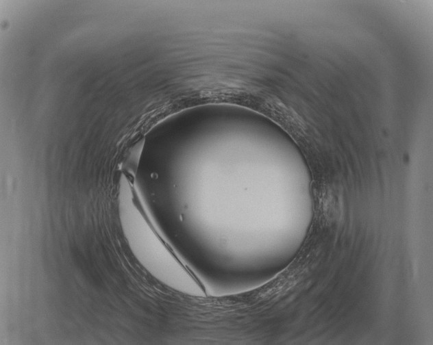 X0000084601012200703021619