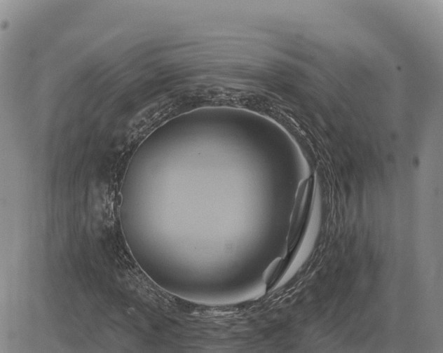 X0000084601013200703021619